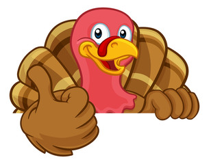 Turkey Thanksgiving or Christmas bird animal cartoon character peeking over a background sign giving a thumbs up