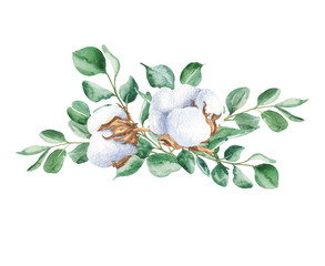 Watercolor bouquet with eucalyptus and cotton isolated on white background. Botanical hand drawn illustration.