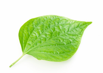 Betel leaves