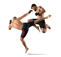 MMA boxers fighters fight in fights without rules