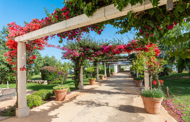 Fototapeta premium Luxury resort and golf retreat in rural area Sicily, Italy.