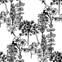 Fototapeta premium seamless floral pattern with wild flower