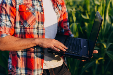Closeup male hand on the laptop. Farmer standing in a field holding open notebook.- Image