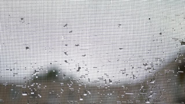 raindrops on mosquito net.mosquito net