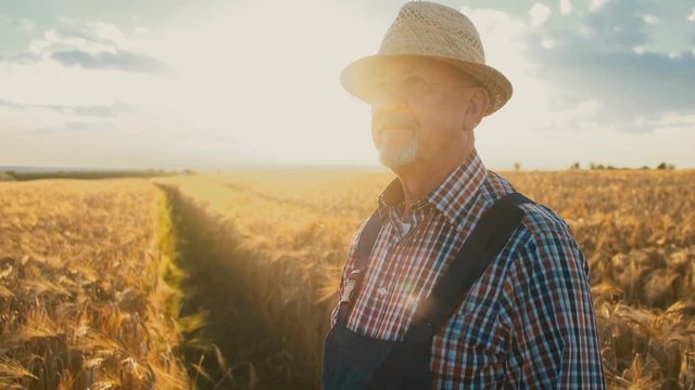 Portrait of the handsome caucasian senior man farmer in a hat looking at the side and thinking in the golden wheat field. Close up.
