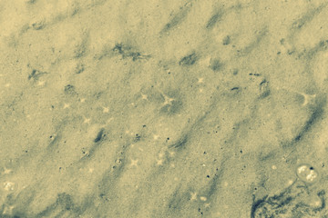 Sand im See 
