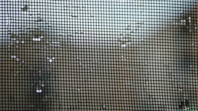 raindrops on mosquito net.mosquito net