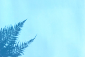 Shadow of branches of fern leaves on blue background. Abstract tropical leaf background, summer concept