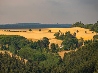 Sommerlandschaft mit Weizenfeld