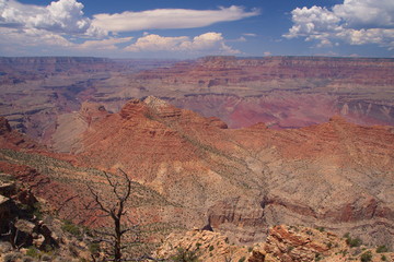 Grand Canyon View