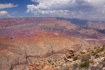Grand Canyon View