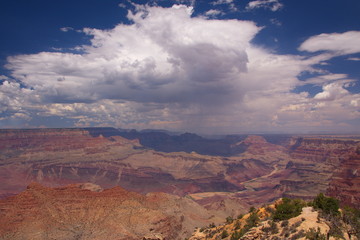 Grand Canyon View