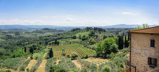 Panoramic photo of rural country of Toscana, Italy with vineyards and farm. Space for text or copy