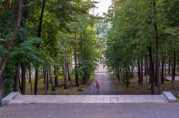 descending the stairs in the Park