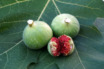 Figs milky sap on the top of two figs and one cracked below