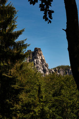 Felsen im Elbsandsteingebirge in der Sächsische Schweiz