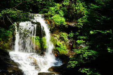 Naklejka premium 木窪大滝