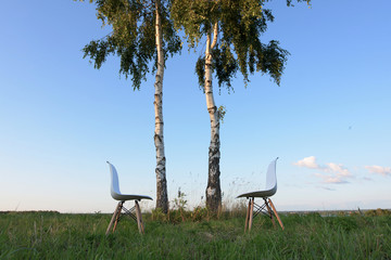 Two facing chairs standing on green grass under two birch trees against clear blue sky