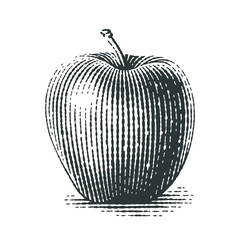 Apple. Hand drawn engraving style illustrations.
