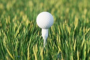 white golf ball on the green grass ground
