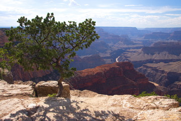 Grand Canyon