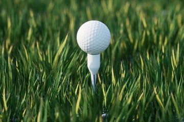 white golf ball on the green grass ground