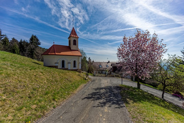 Fototapeta premium church in the countryside