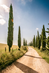 Italian cypress trees alley and a white road to farmhouse in rural landscape. Italian countryside...