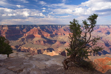 Grand Canyon Scenic View