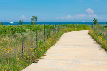 Fototapeta na wymiar Path with Native Plants and a Blue Sky at Northerly Island in Chicago during the Summer by Lake Michigan