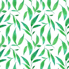 Hand drawn watercolor seamless pattern. Fresh green leaves on white background. Elegant floral print