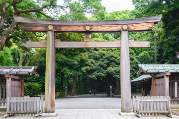 Portal of wood gate temple, Torii of Meiji Jingu Shrine in Central Tokyo (Shibuya), Japan. Meiji...