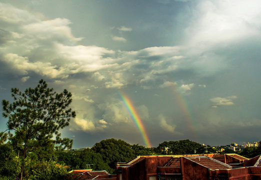 Rain Bow