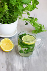 Herbal tea with lemon and mint in a glass cup, fresh, vitamin and health drink