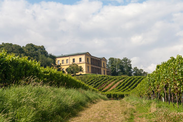 Fototapeta na wymiar Schloss Villa Ludwigshoehe