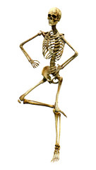 3D Rendering Human Skeleton on White