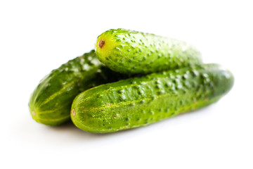 fresh small cucumbers on white background, homemade gherkins isolate  