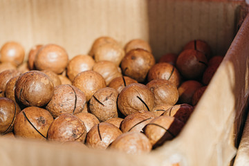 macadamia nut on market. Healthy vegetarian food. macadamia oil