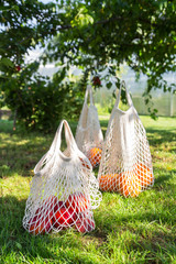 Eco bags for shopping with fruit are on the nature. Zero waste, plastic free. Creative idea