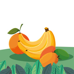 orange banana mango fresh fruits in the field