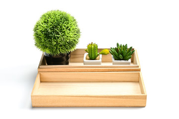Wooden tray contain cactus pots and blank isolated on white background