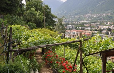 Kurstadt Meran in Südtirol (Italien)