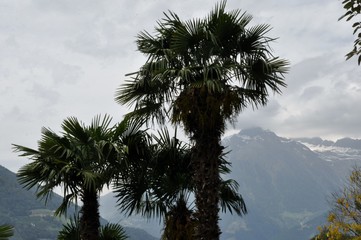 Fototapeta na wymiar Kurstadt Meran in Südtirol (Italien)