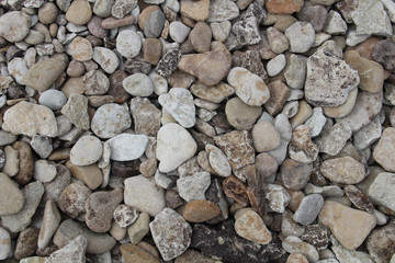 Texture of stones on seashore. Natural background