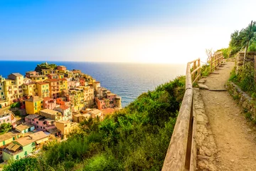 Poster Manarola village in beautiful scenery of mountains and sea - Spectacular hiking trails in vineyard with flowers in Cinque Terre National Park,  Liguria, Italy, Europe © Simon Dannhauer