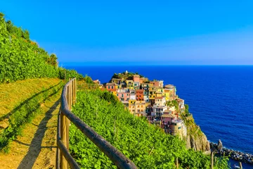 Fototapete Ligurien Manarola Dorf in wunderschöner Landschaft von Bergen und Meer - Spektakuläre Wanderwege im Weinberg mit Blumen im Nationalpark Cinque Terre, Ligurien, Italien, Europa