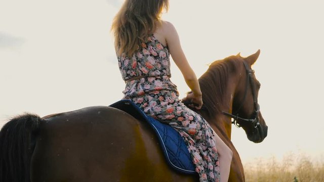 Young woman in dress riding horse against the sun. Rider with her stallion trotting across a field at sunset. Long gown blowing in the wind. Horseback riding in slow motion.