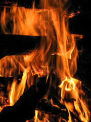 Fire closeup with red and orange flames