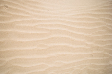 Fototapeta na wymiar The texture of the sandy beach.