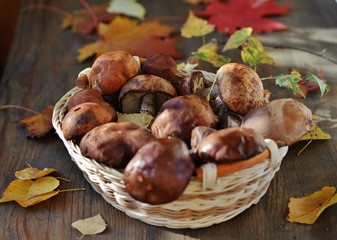 Forest mushrooms of the boletus (Leccinum) and autumn leaves on a wooden table. country style